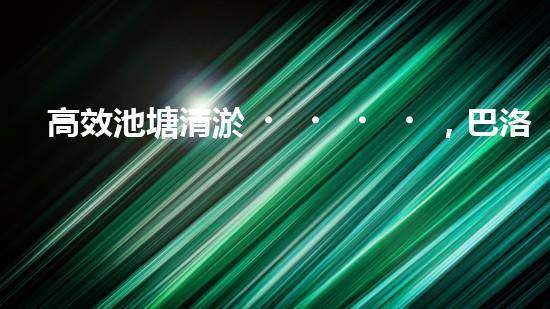高效池塘清淤，巴洛仕設(shè)備助您一臂之力